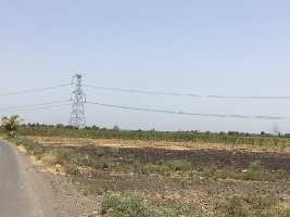  Agricultural Land for Sale in Haveli, Pune