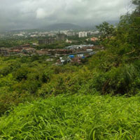  Agricultural Land for Sale in Jejuri, Pune