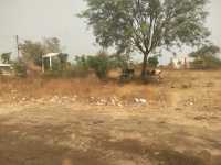 Agricultural Land for Sale in Shikrapur, Pune