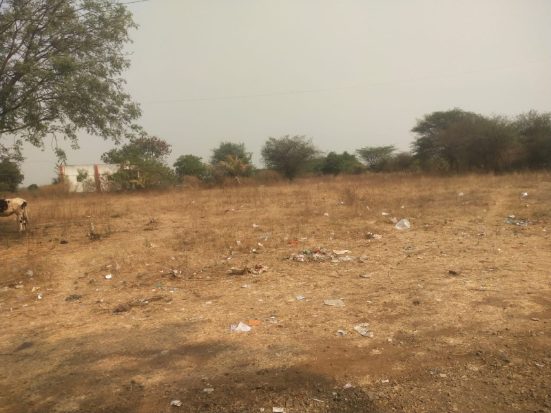 Agricultural Land 18 Acre for Sale in Shirur, Pune