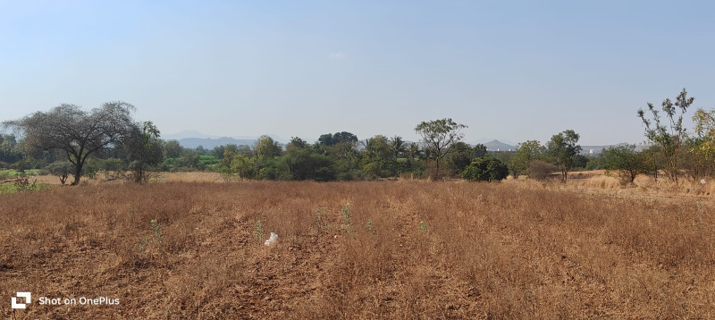 Industrial Land 16 Acre for Sale in Shikrapur, Pune