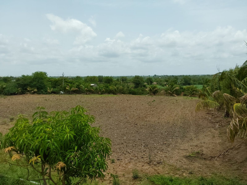  Agricultural Land 16 Acre for Sale in Sanaswadi, Pune