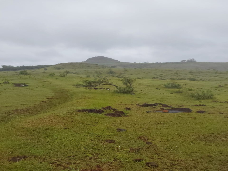  Residential Plot 2 Ares for Sale in Wagholi, Pune