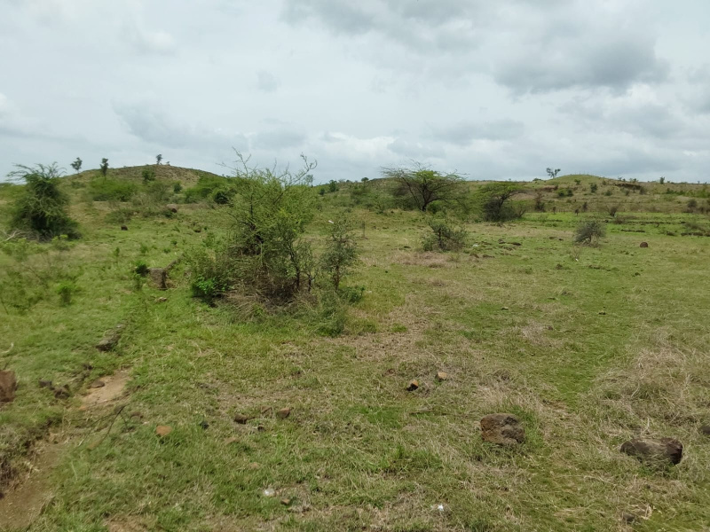  Residential Plot 20 Acre for Sale in Wagholi, Pune