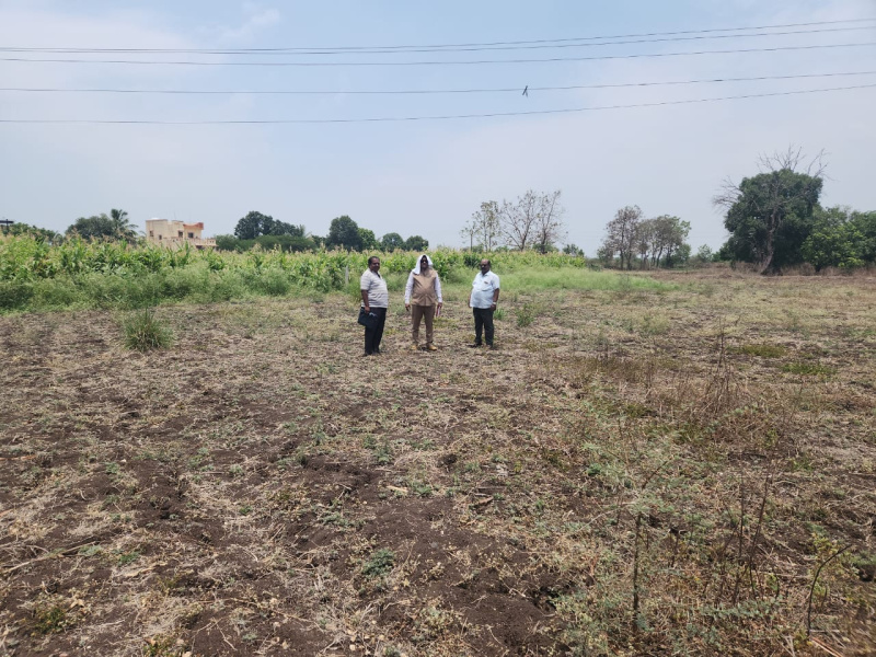  Agricultural Land 16 Acre for Sale in Shirur, Pune