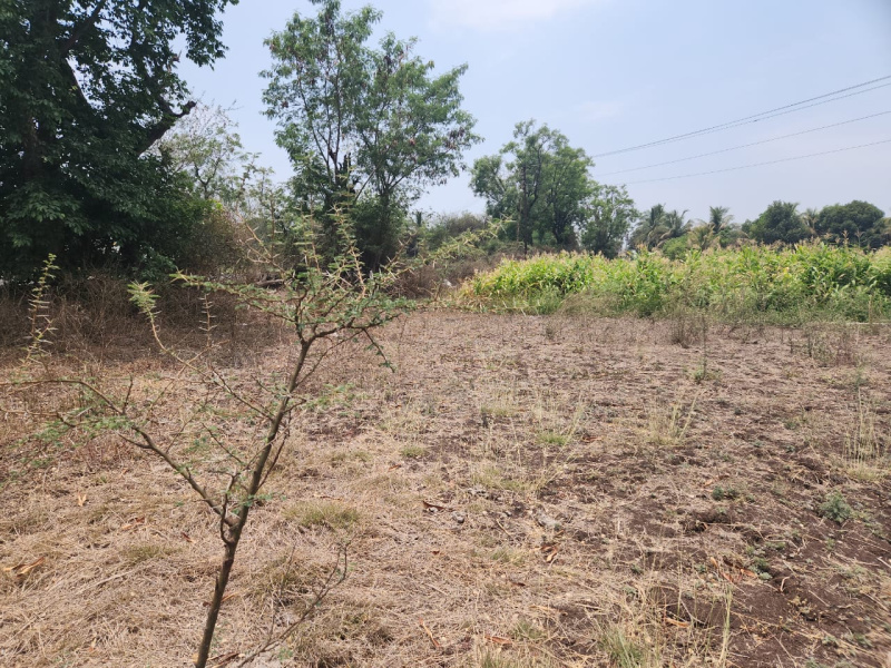  Agricultural Land 16 Acre for Sale in Shirur, Pune