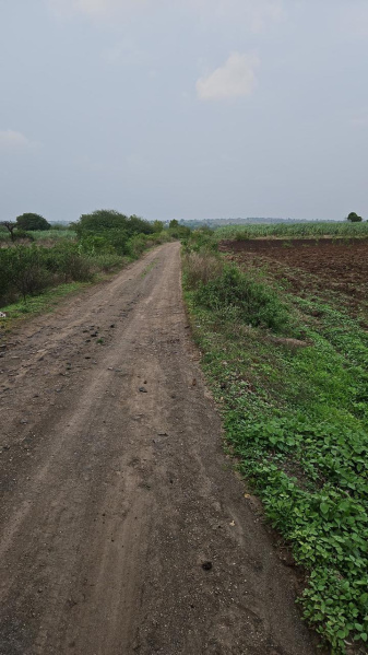  Residential Plot 17 Acre for Sale in Purandar, Pune