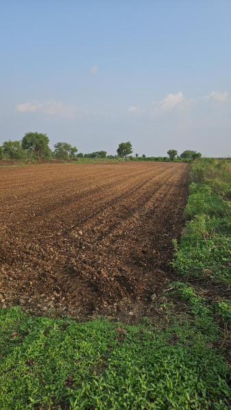  Residential Plot 17 Acre for Sale in Purandar, Pune