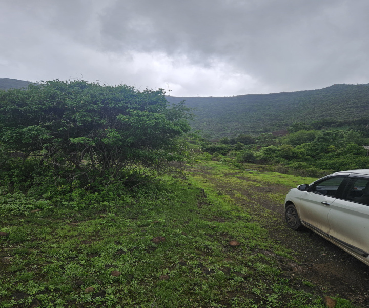  Residential Plot 200 Acre for Sale in Wadki, Pune