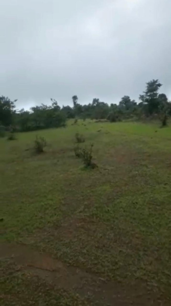  550 Acre Agricultural/Farm Land for Sale in Maval, Pune