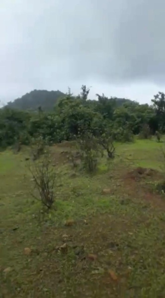  550 Acre Agricultural/Farm Land for Sale in Maval, Pune