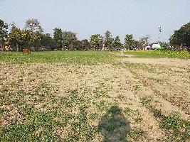  Commercial Land for Sale in Selaqui, Dehradun