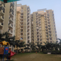 2 BHK Flat for Sale in Vrindavan Yojna, Lucknow