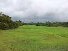  Agricultural Land for Sale in Wadgaon Sheri, Pune