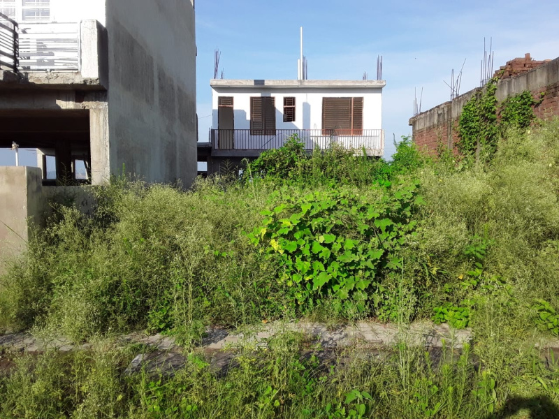  Residential Plot 128 Sq. Meter for Sale in Baddi, Solan