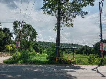  Residential Plot for Sale in Ramnagar, Nainital