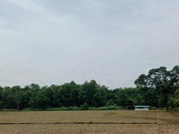  Residential Plot for Sale in Kaladhungi, Nainital