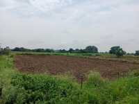  Residential Plot for Sale in Kaladhungi, Nainital