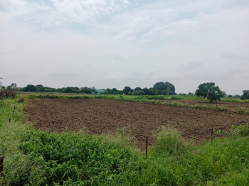  Residential Plot for Sale in Kaladhungi, Nainital
