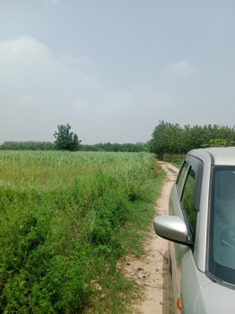  Agricultural Land for Sale in Deputy Ganj, Moradabad