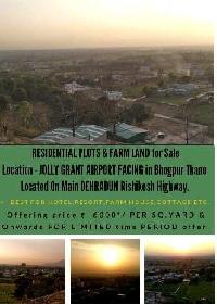  Agricultural Land for Sale in Doiwala, Dehradun