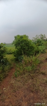  Agricultural Land for Sale in Chikpet, Bidar