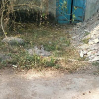  Commercial Land for Sale in Vijay Nagar, Indore