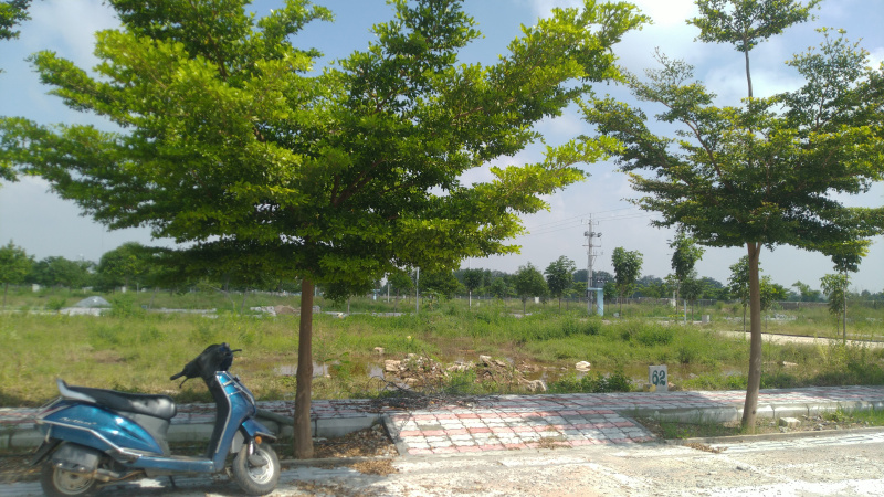  Residential Plot 1200 Sq.ft. for Sale in Hindupur, Anantapur