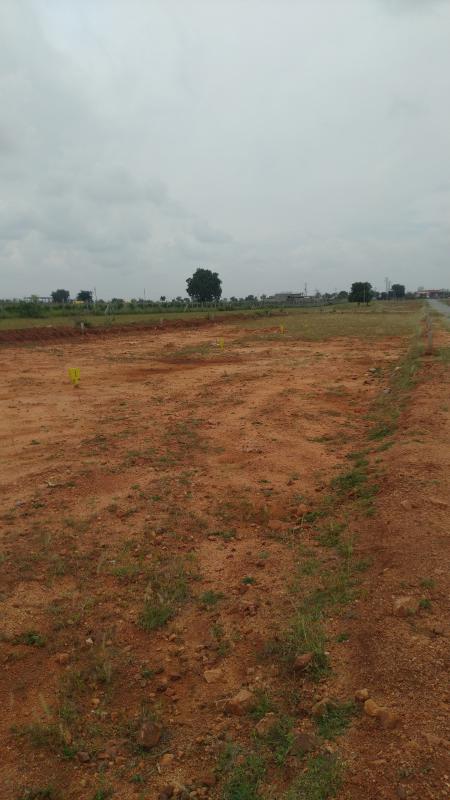  Residential Plot 2400 Sq.ft. for Sale in Rapthadu, Anantapur