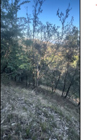  Agricultural Land for Sale in Nerchowk, Mandi