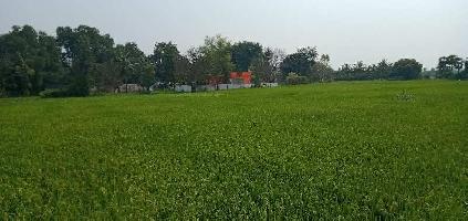  Agricultural Land for Rent in Arani, Tiruvannamalai