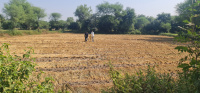  Agricultural Land for Sale in Mahemdavad, Kheda
