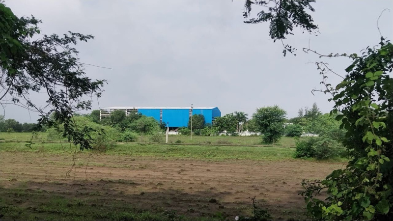  5 Acre Agricultural/Farm Land for Rent in Sankheda, Chhota Udaipur