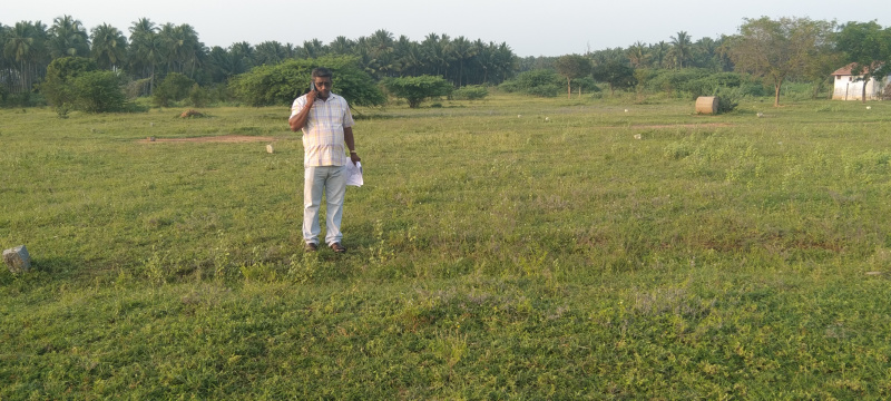  Residential Plot 3 Cent for Sale in Kinathukadavu, Coimbatore