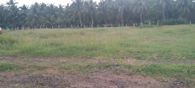  Residential Plot 4 Cent for Sale in Othakalmandapam, Coimbatore