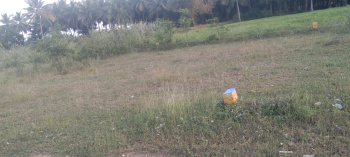  Residential Plot for Sale in Chettipalayam, Coimbatore