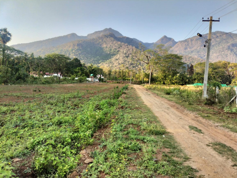  Agricultural Land 67 Cent for Sale in Kinathukadavu, Coimbatore