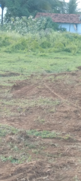  Residential Plot 1200 Sq.ft. for Sale in Kinathukadavu, Coimbatore