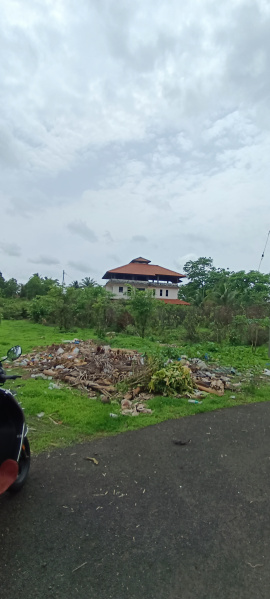  Agricultural Land 16 Guntha for Sale in Kankavli, Sindhudurg