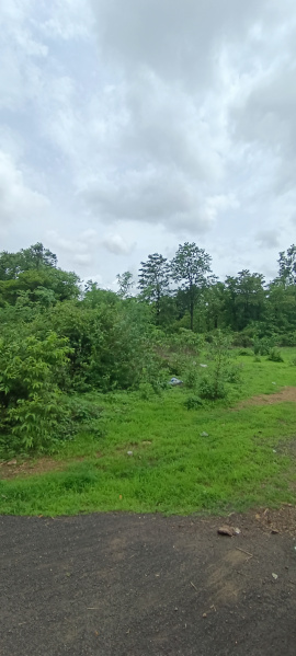 Agricultural Land 16 Guntha for Sale in Kankavli, Sindhudurg