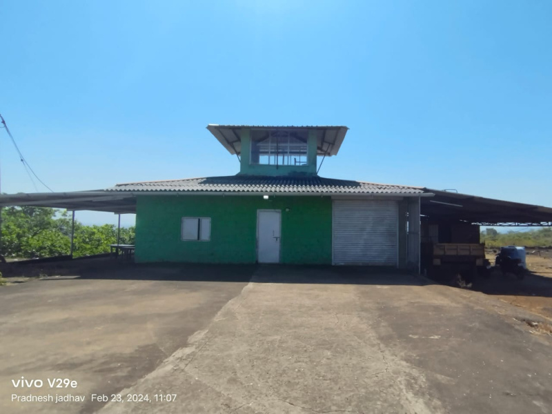  Agricultural Land 300 Acre for Sale in Kankavli, Sindhudurg