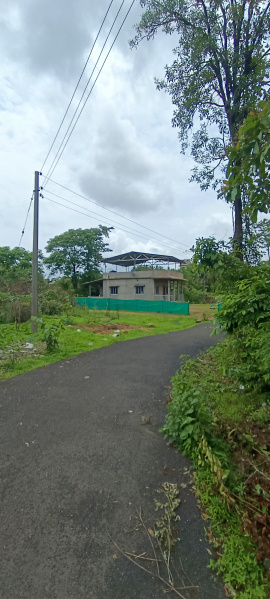  16 Bigha Residential Plot for Sale in Kankavli, Sindhudurg
