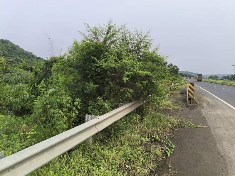  Agricultural Land 22 Acre for Sale in Patur, Akola