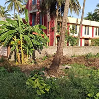  Residential Plot for Sale in Penugonda, West Godavari