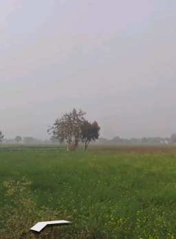  Agricultural Land for Sale in Alwar Mega Highways