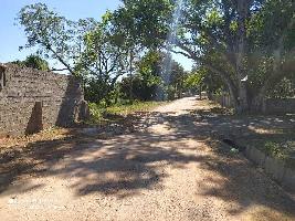  Agricultural Land for Sale in Nandi Hills, Bangalore