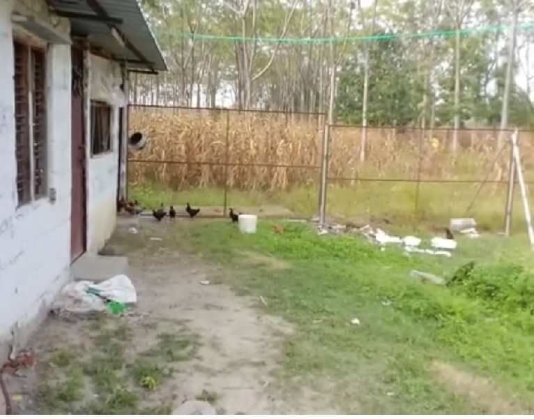  4 Ares Agricultural/Farm Land for Rent in Channapatna, Bangalore