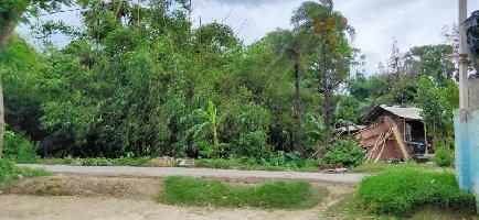  Residential Plot for Sale in Pandaul, Madhubani