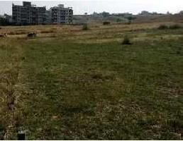  Residential Plot for Sale in Puikhadi, Kolhapur