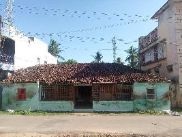  Residential Plot for Sale in Muthupet, Thiruvarur
